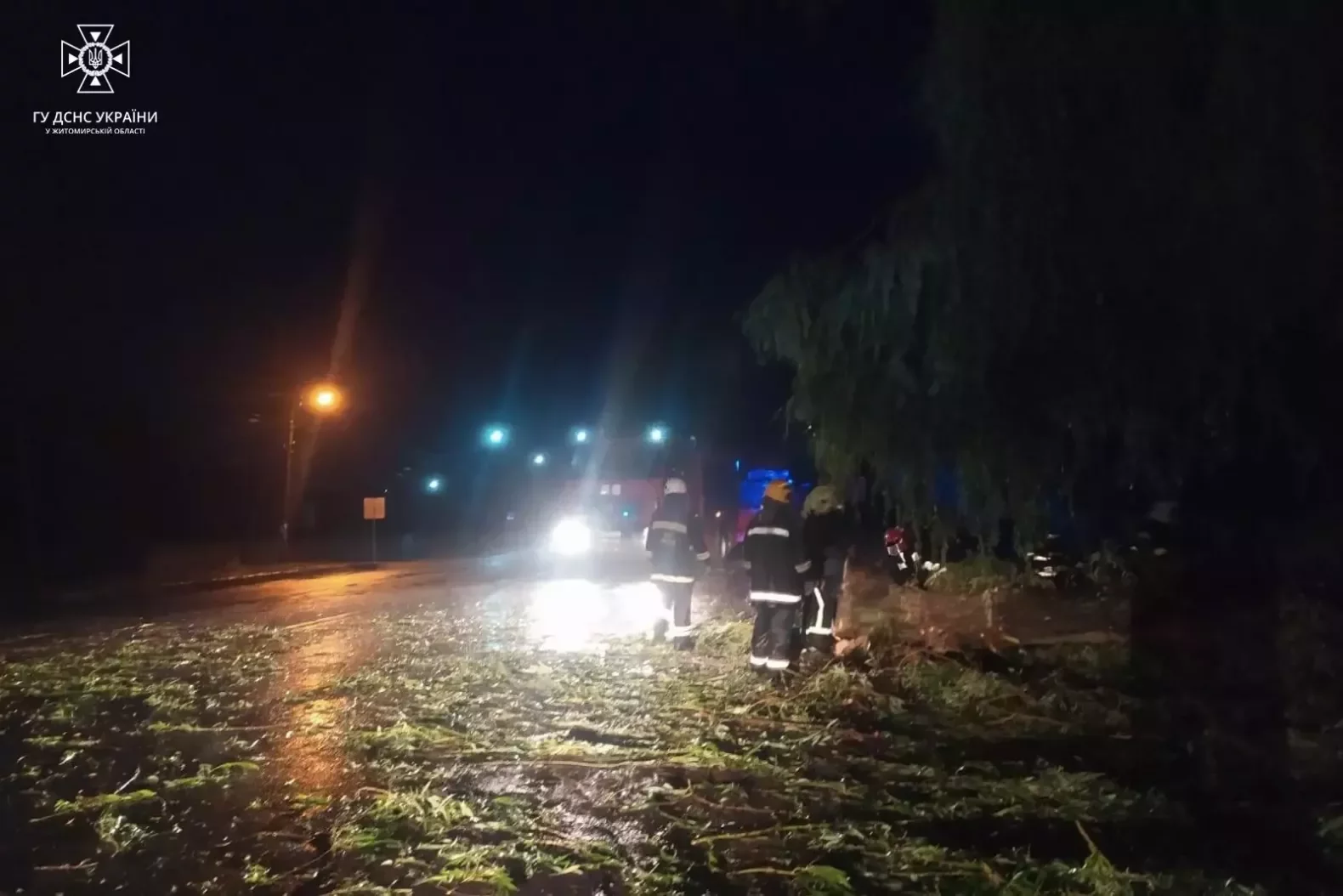 Через негоду на Житомирщині знеструмлено 81 населений пункт, - ДСНС