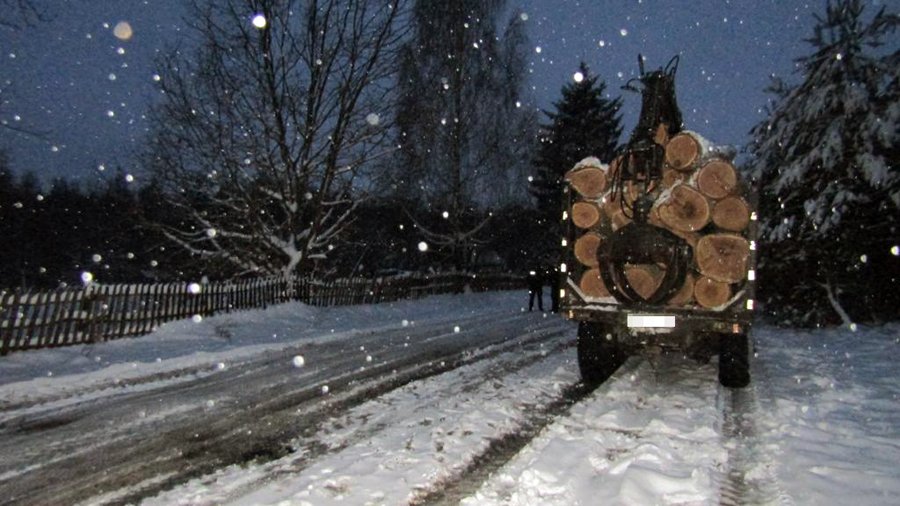 На Звягельщині чоловік перевозив дубові колоди: поліція перевіряє законність