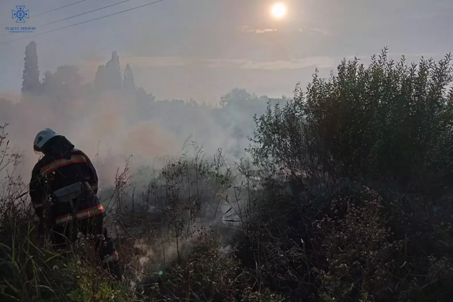 На Звягельщині горіла суха трава, загалом в області протягом доби сталося 16 пожеж, - ДСНС