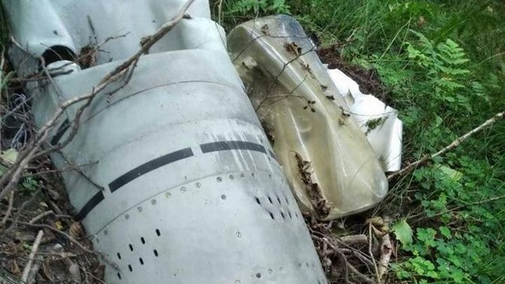 У лісі на Житомирщині знайдено уламки ракети