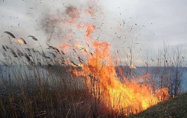 У ДСНС попередили: паління сухої трави у воєнний час прирівнюється до диверсії