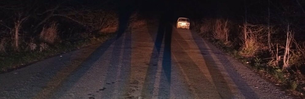 У суботу ввечері на Новоградщині водій наїхав на 14-річну дівчину
