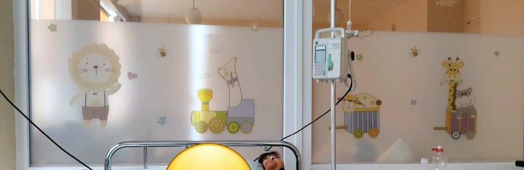 У лікарні помер 8-річний хлопчик з Житомирщини: мати звинувачує у смерті агропідприємство 