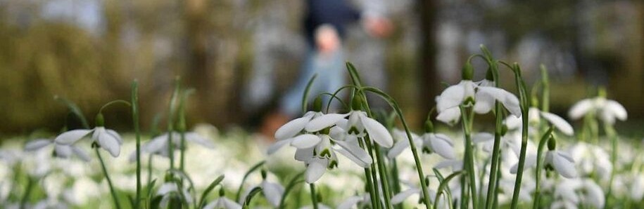 Кліматологиня розповіла, якою буде погода у березні