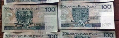 На Звягельщині жінка поцупила у знайомого 2 тис. злотих