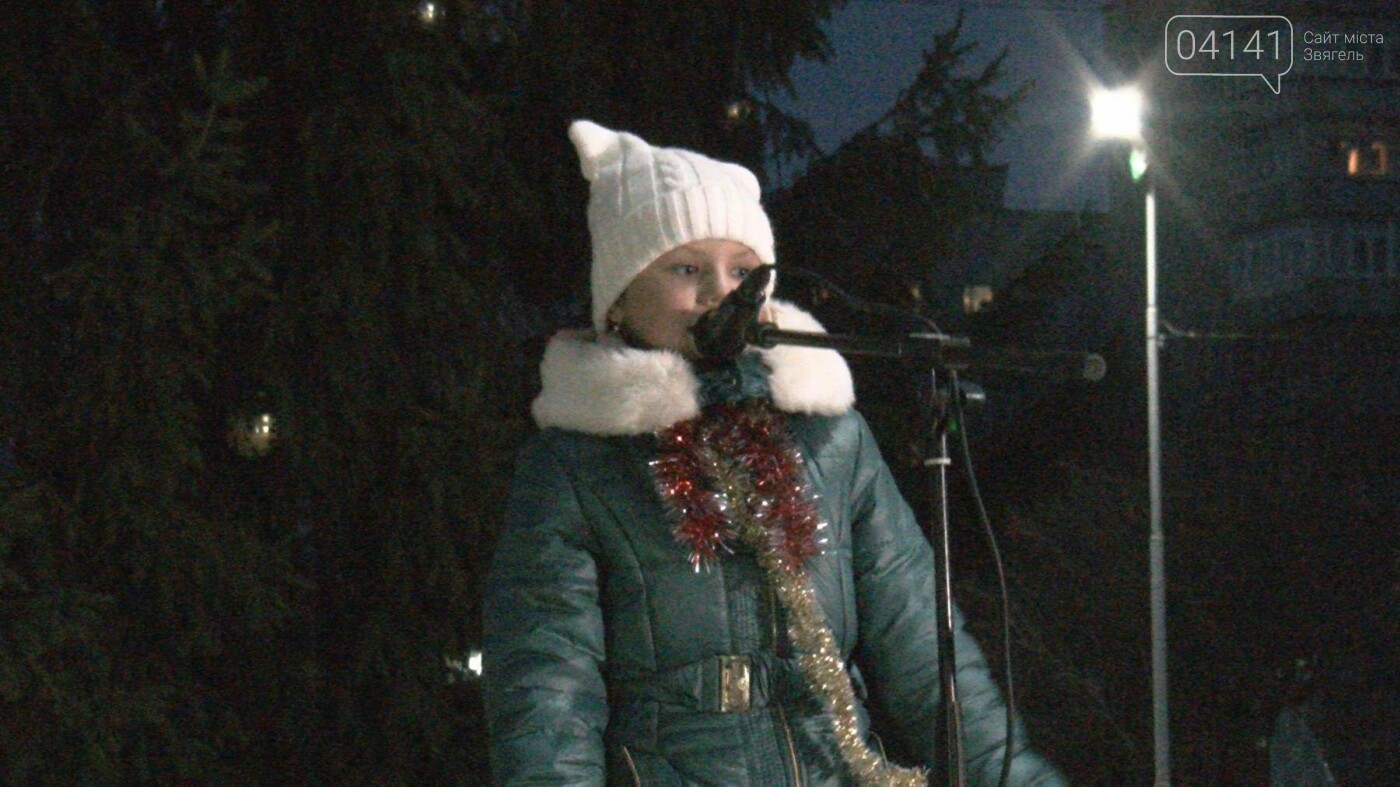 У Новограді-Волинському відкрили головну новорічну ялинку..., фото-3 У Новограді-Волинському відкрили головну новорічну ялинку (ФОТО, ВІДЕО), фото-3