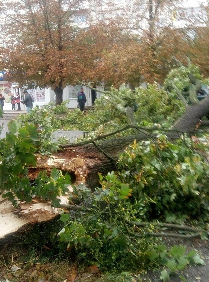 У Новограді-Волинському вітер наробив лиха (ФОТО, ВІДЕО), фото-7 У Новограді-Волинському вітер наробив лиха (ФОТО, ВІДЕО), фото-7