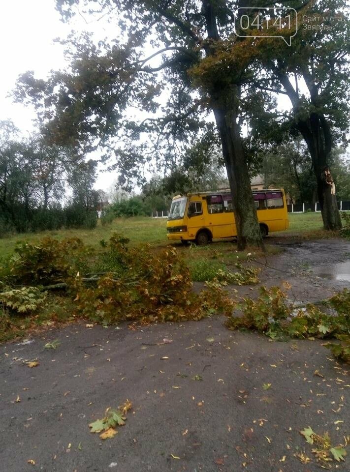 У Новограді-Волинському вітер наробив лиха (ФОТО, ВІДЕО), фото-8 У Новограді-Волинському вітер наробив лиха (ФОТО, ВІДЕО), фото-8