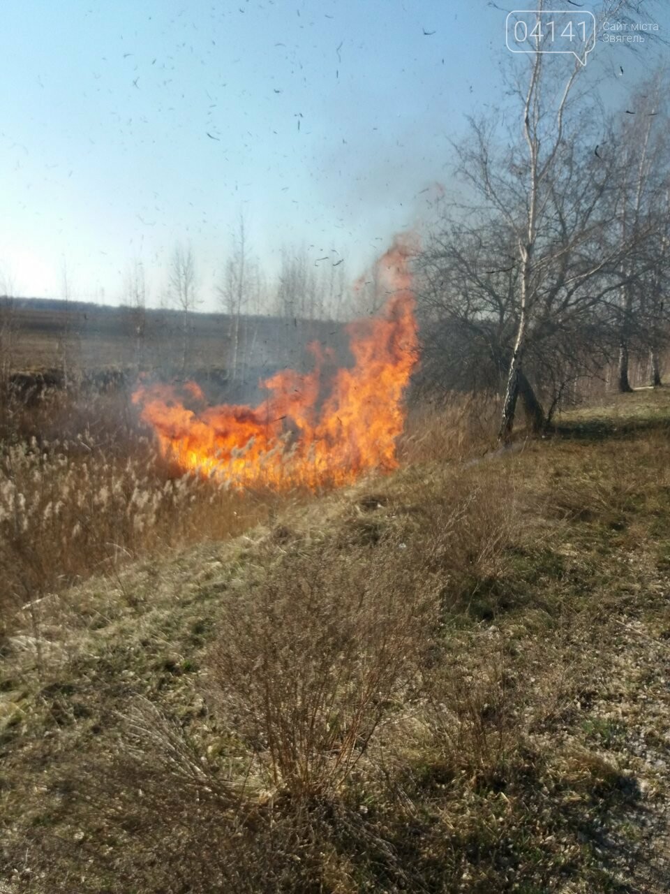 "Ловили на гарячому": палій трави втікаючи залишив велосипе..., фото-2 "Ловили на гарячому": палій трави втікаючи залишив велосипед в Новоград-Волинському районі, фото-2