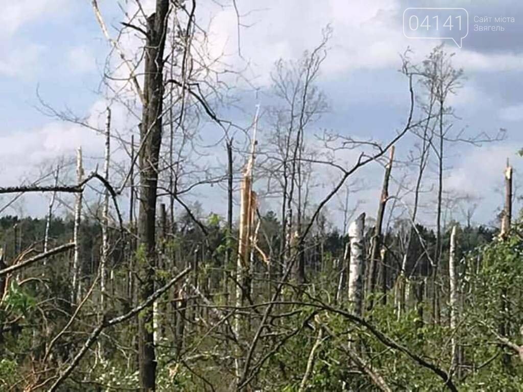 Рятувальники Новоград-Волинщини продовжують надавати допомо..., фото-4 Рятувальники Новоград-Волинщини продовжують надавати допомогу населенню по ліквідації наслідків буревію, фото-4