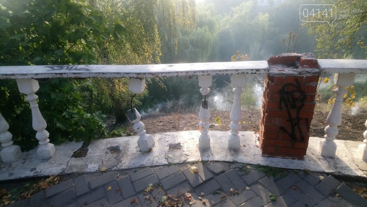 Як Вам дихається новоград-волинці?: На Болгарах масово паля..., фото-2 Як Вам дихається новоград-волинці?: На Болгарах масово палять траву (ФОТО, ВІДЕО), фото-2