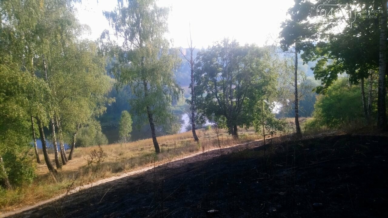 Як Вам дихається новоград-волинці?: На Болгарах масово паля..., фото-3 Як Вам дихається новоград-волинці?: На Болгарах масово палять траву (ФОТО, ВІДЕО), фото-3