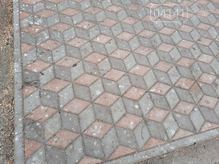 Загиджений парк воронами: Проблема яку місцева влада Новограда воліє не помічати, фото-3
