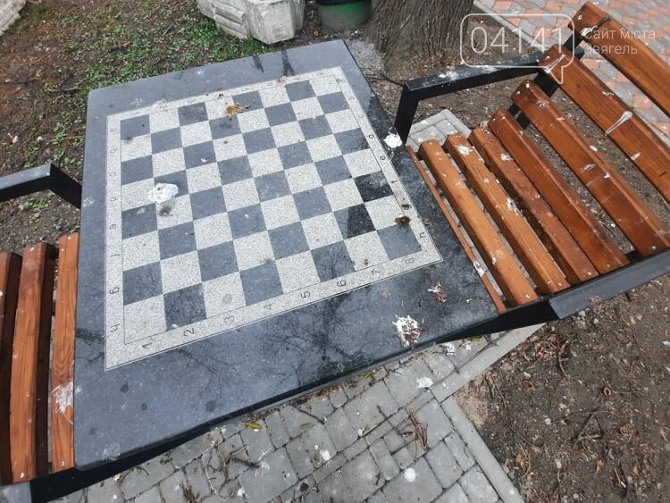 Загиджений парк воронами: Проблема яку місцева влада Новограда воліє не помічати, фото-2