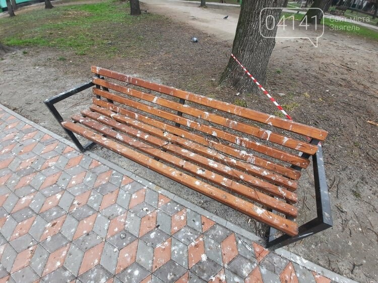 Загиджений парк воронами: Проблема яку місцева влада Новограда воліє не помічати, фото-1