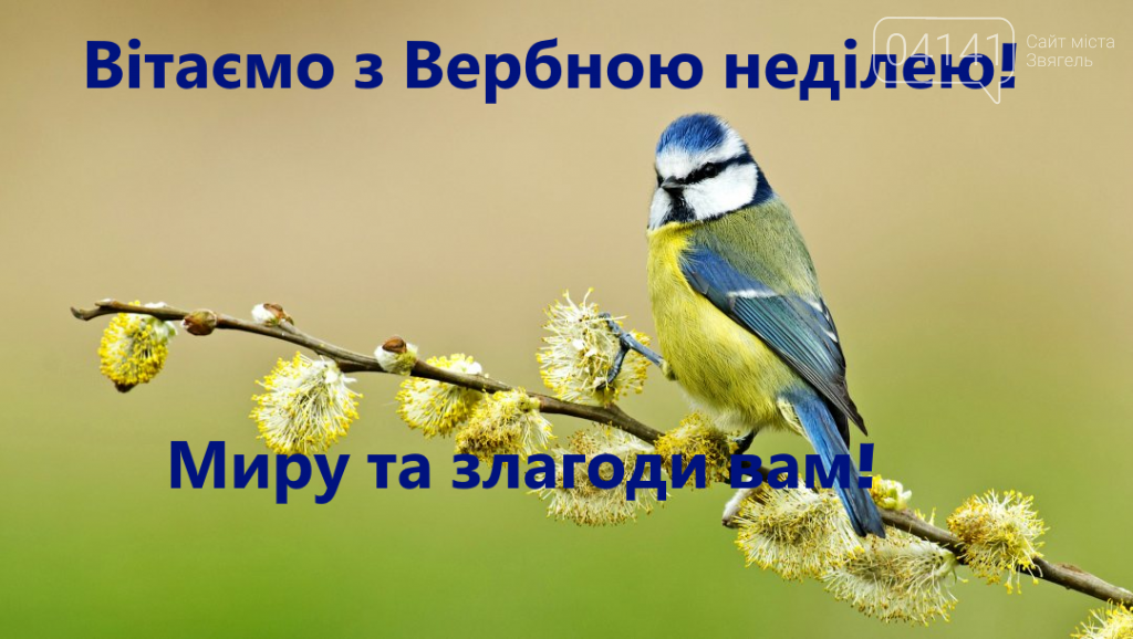 Привітання з вербною неділею: Вітання з вербною Неділею картинки українською, фото-9