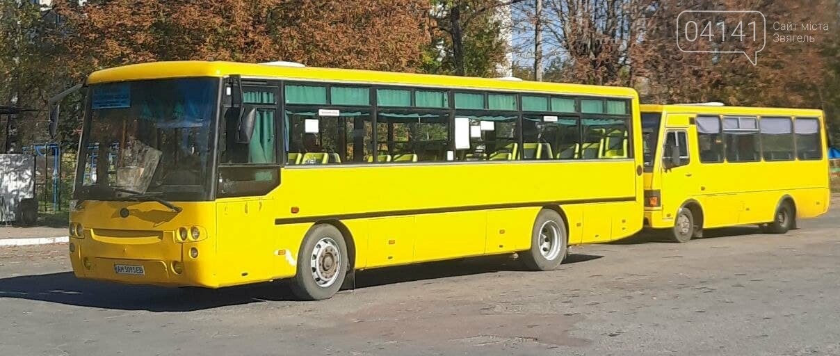 Графік руху автобусів в Новограді-Волинському