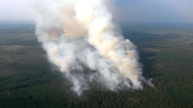 Лісова пожежа Лісова пожежа, Олександр Сукач