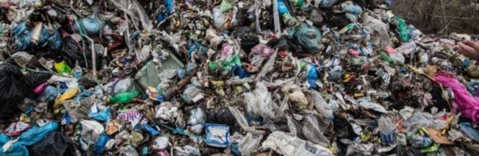 Львівське сміття Львівське сміття, Олександр Сукач