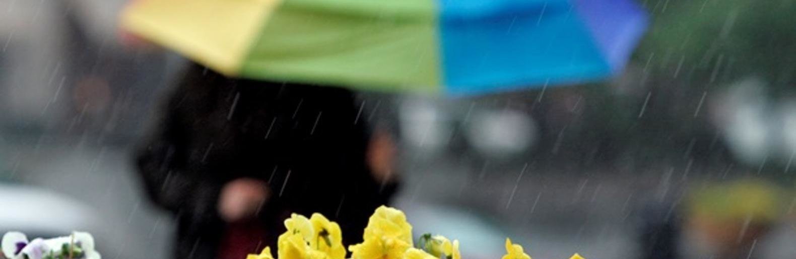 Погода Новоград-Волинський Погода Новоград-Волинський, 04141.com.ua