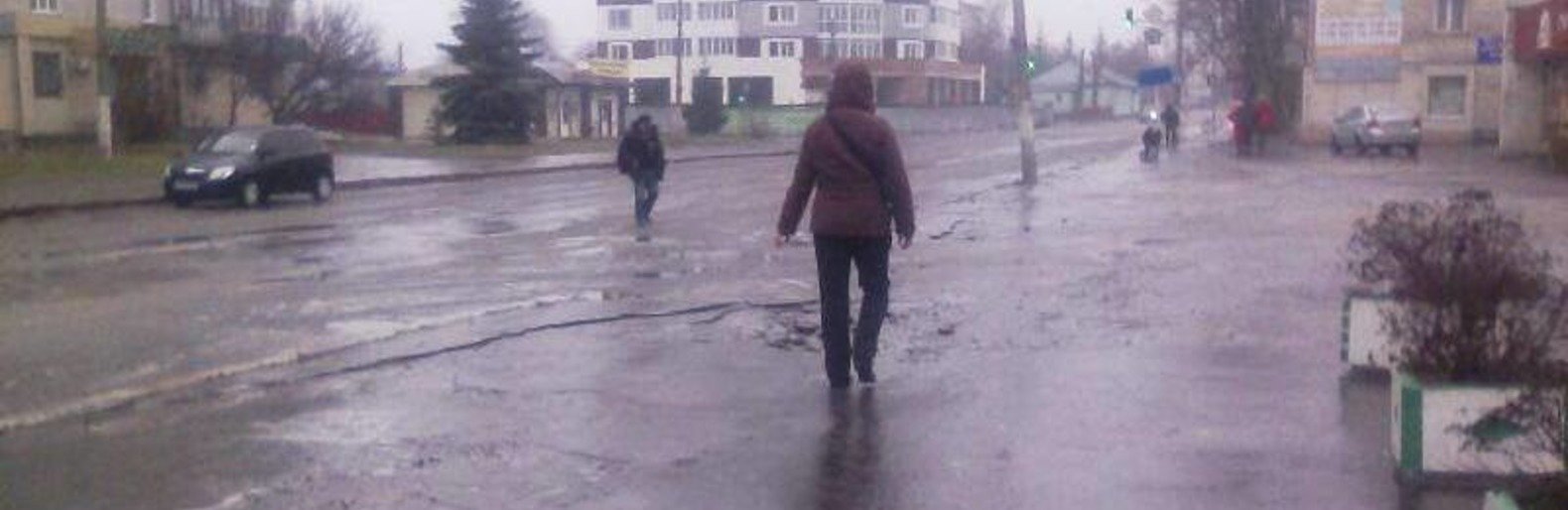 Ожеледиця в Новограді-Волинському Ожеледиця в Новограді-Волинському, Олександр Сукач