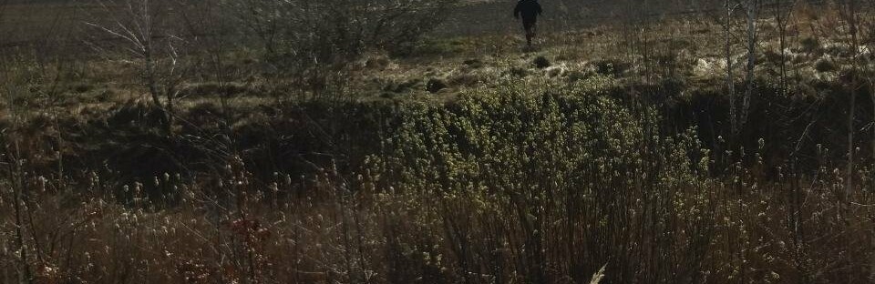 "Ловили на гарячому": палій трави втікаючи залишив велосипед в Ново... "Ловили на гарячому": палій трави втікаючи залишив велосипед в Новоград-Волинському районі, Олександр Сукач