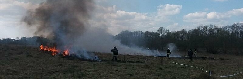 У Баранівці лісівники та рятувальники вчаться ліквідовувати пожежі У Баранівці лісівники та рятувальники вчаться ліквідовувати пожежі, Олександр Сукач