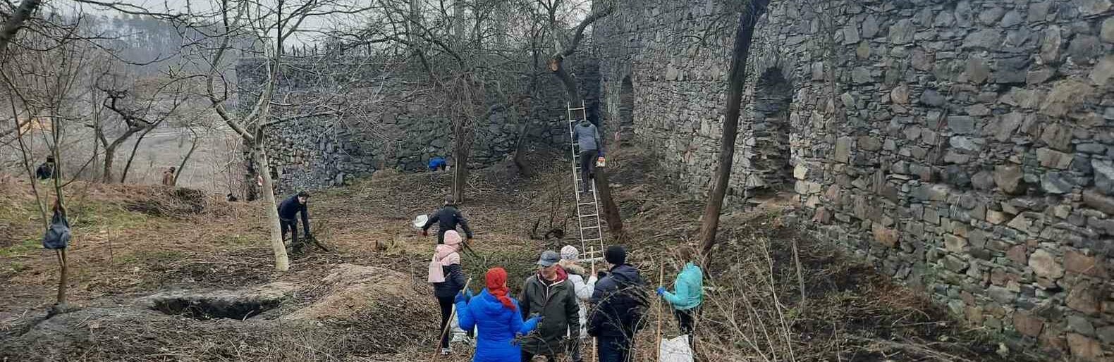 Толока Толока