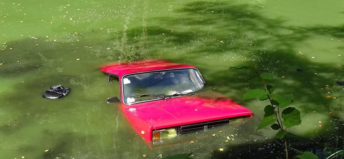 Водій ВАЗівки втопився у річці на Житомирщині Водій ВАЗівки втопився у річці на Житомирщині, Ірина Сукач