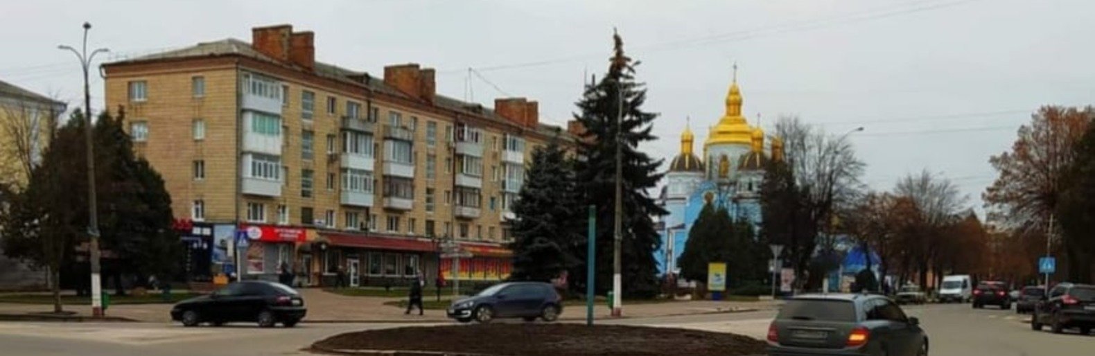 Новоград-Волинський Новоград-Волинський, Олександр Сукач