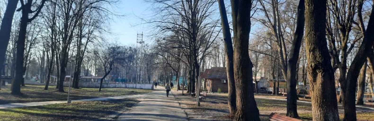 Загиджений парк воронами: Проблема яку місцева влада Новограда воліє не помічати