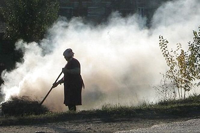 Жителька Новоград-Волинщини заплатить 3060 грн штрафу за спалювання сухої рослинності