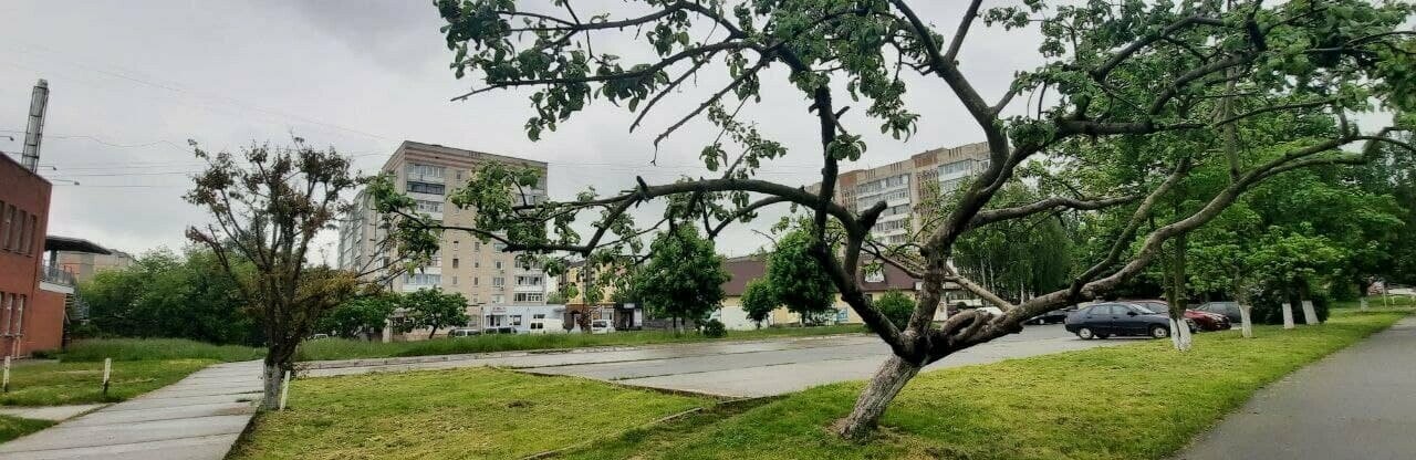 Холодна і дощова: Яка погода буде у перший тиждень червня 2021 року