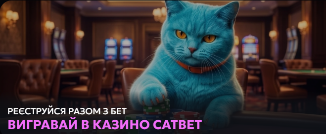 Я Спробував CatBet і Ось Що Сталося: Чесна Історія Одного Гравця